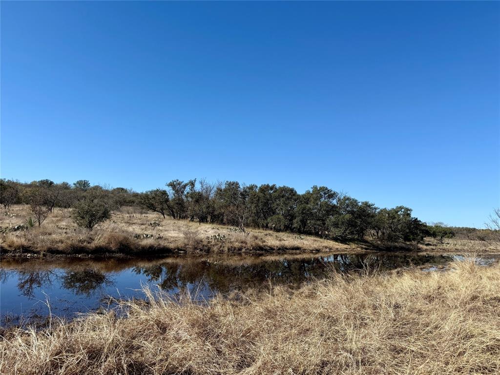 9455 County Road 189 Bangs, TX 76823 - Photo 3 of 40 a view of lake