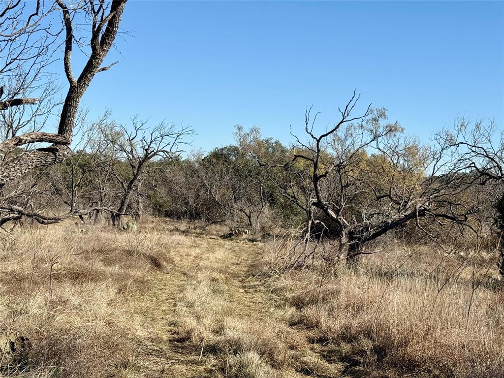 9455 County Road 189 Bangs, TX 76823 - Photo 32 of 40 a backyard of a house