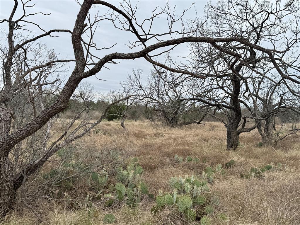 9455 County Road 189 Bangs, TX 76823 - Photo 34 of 40 a backyard of a house with lots of green space