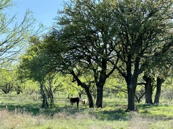 a view of house with trees in the background