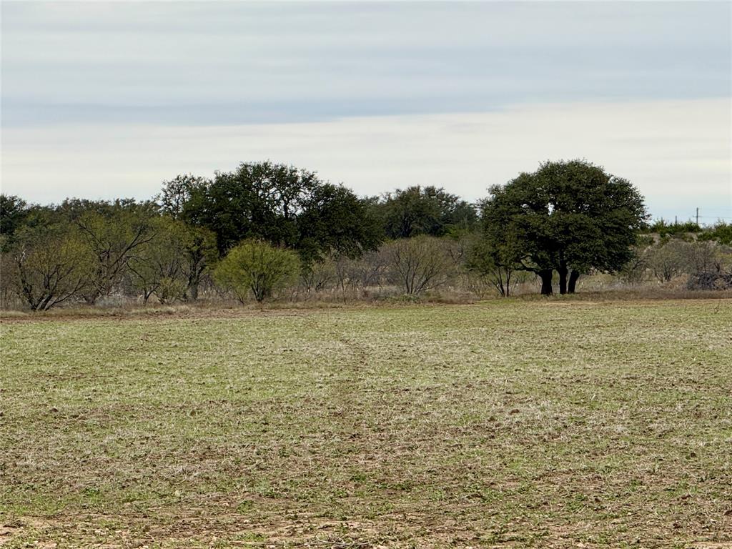 9455 County Road 189 Bangs, TX 76823 - Photo 5 of 40