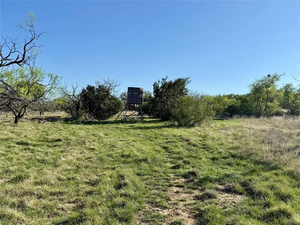 a view of a grassy field with trees