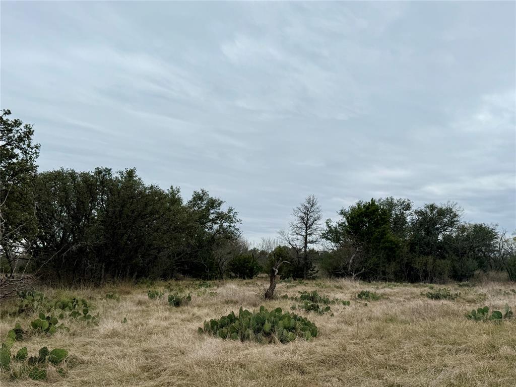 9455 County Road 189 Bangs, TX 76823 - Photo 8 of 40 a view of a dry yard with trees in the background