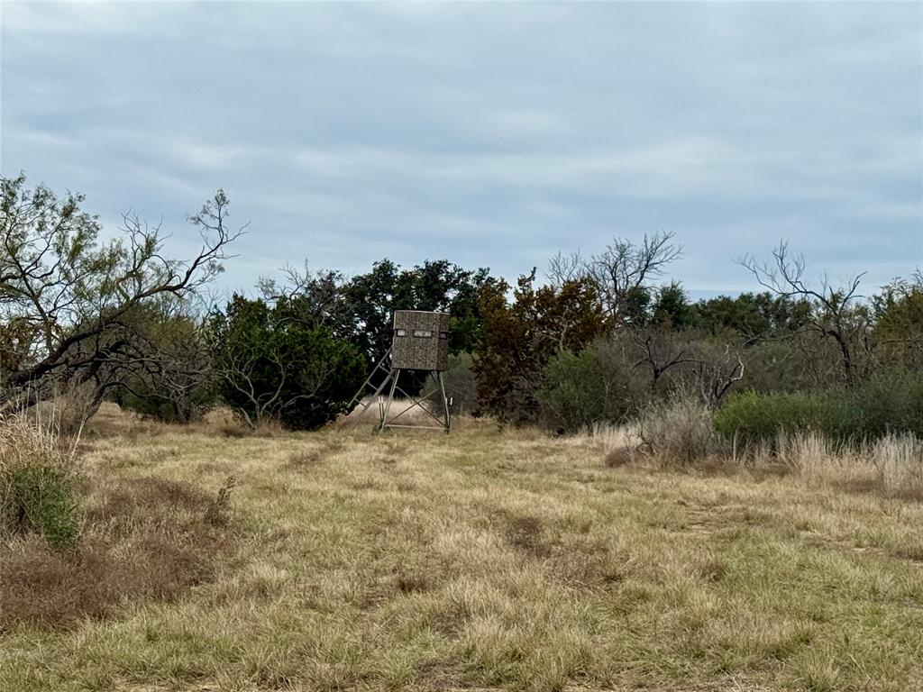 9455 County Road 189 Bangs, TX 76823 - Photo 9 of 40 a view of a dry yard with trees