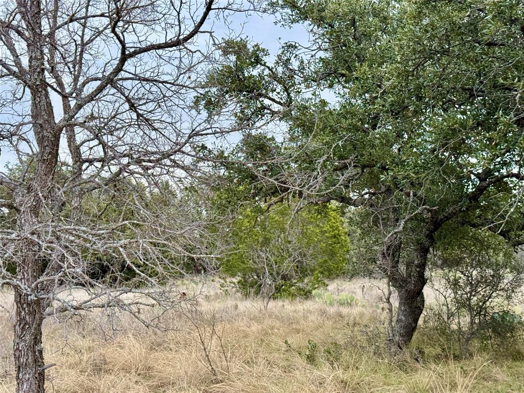 9455 County Road 189 Bangs, TX 76823 - Photo 10 of 40 a view of a yard with a tree