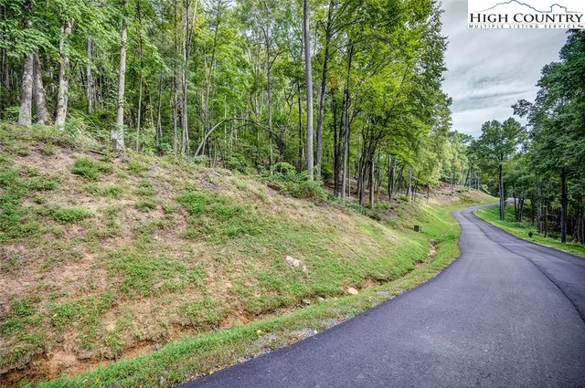 a big yard with lots of green space and trees