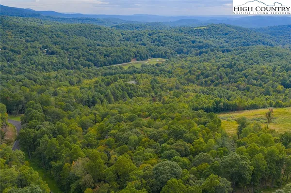 a view of a lush green field with a mountain in the background