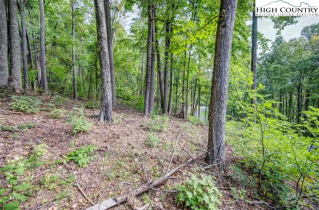 $129,900 | Lot 49 Wildcat Wilderness Parkway, Deep Gap, NC 28618