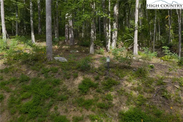 $129,900 | Lot 49 Wildcat Wilderness Parkway, Deep Gap, NC 28618