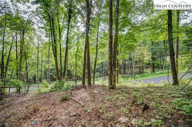 $129,900 | Lot 49 Wildcat Wilderness Parkway, Deep Gap, NC 28618