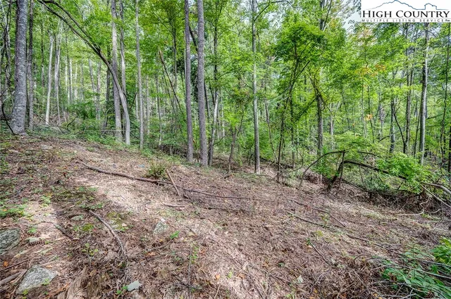 $129,900 | Lot 49 Wildcat Wilderness Parkway, Deep Gap, NC 28618