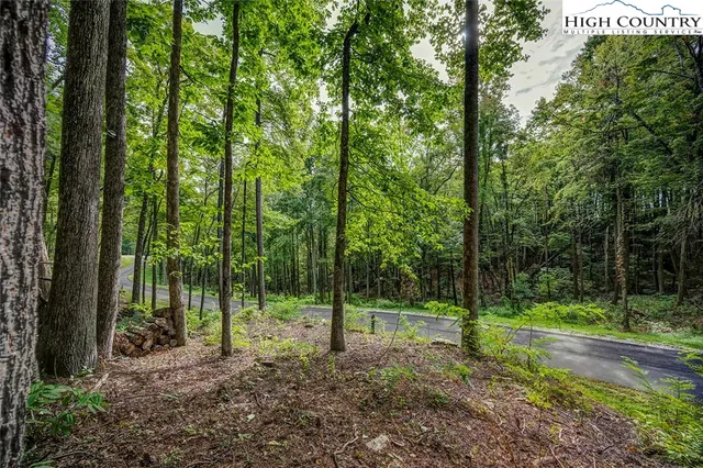 $129,900 | Lot 49 Wildcat Wilderness Parkway, Deep Gap, NC 28618