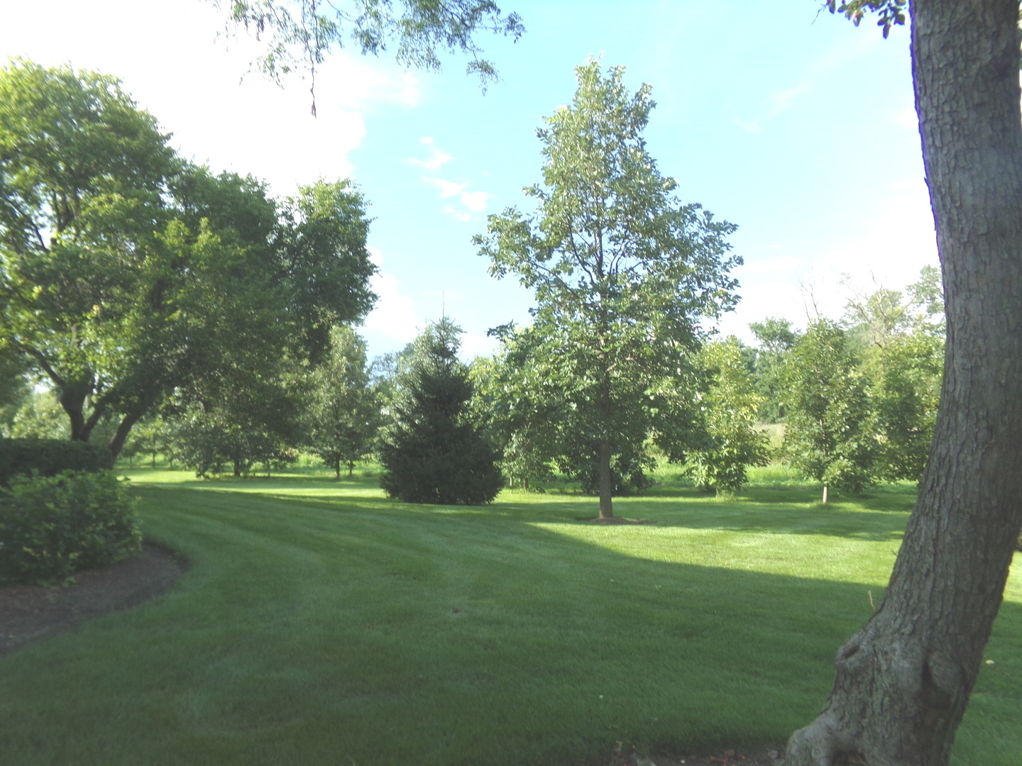 1027 Auburn Lane, Unit 1027 Buffalo Grove, IL 60089 - Photo 15 of 19 Gallery Image 15