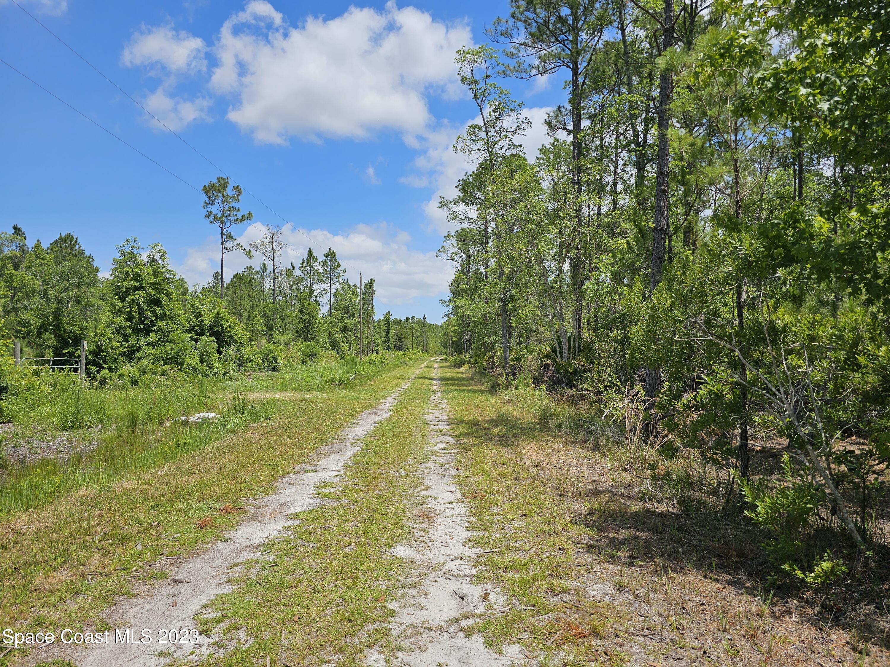 731 Old Bubbly Road Pierson, FL 32180 - Photo 11 of 22 20230516_123805