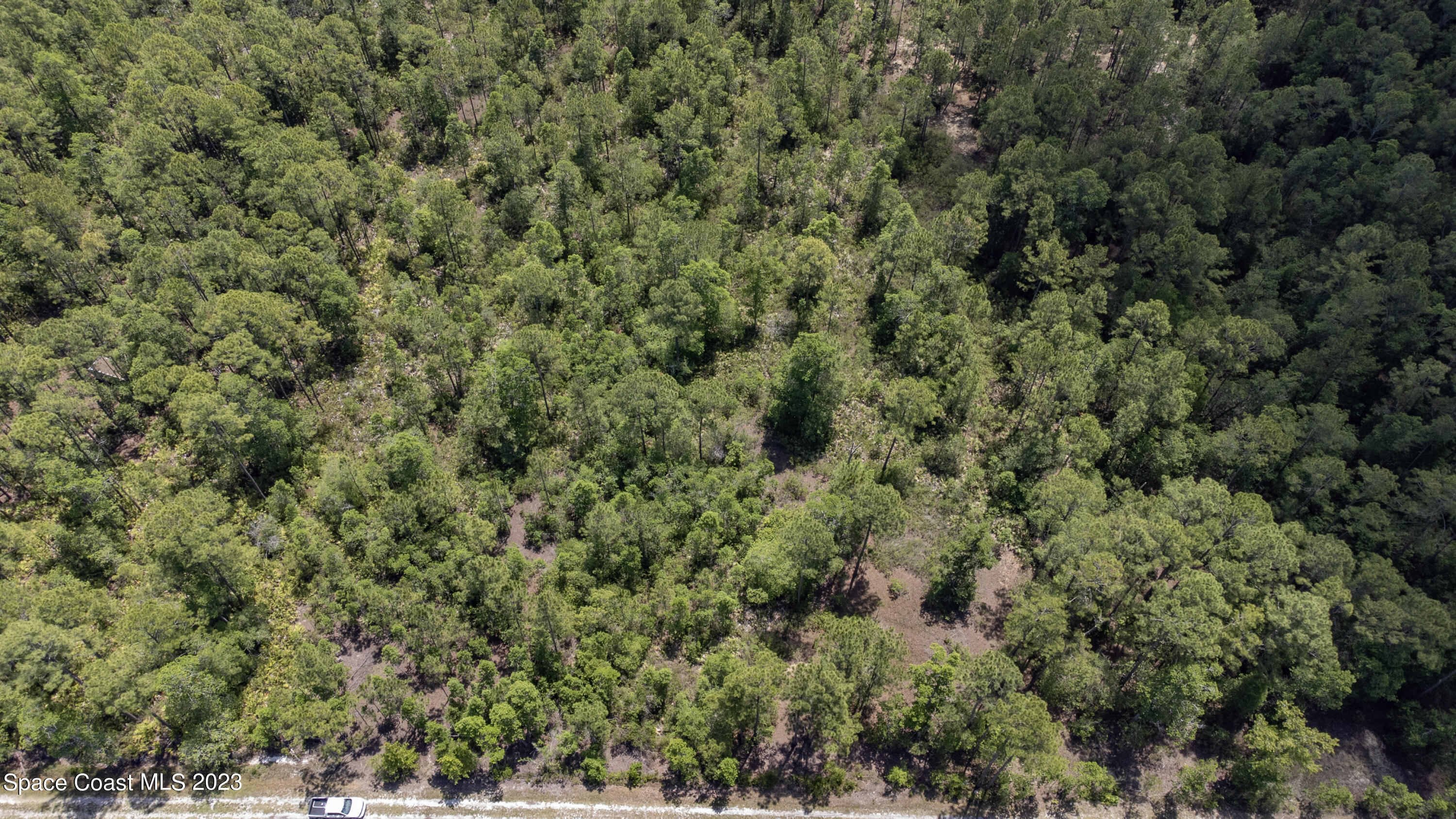731 Old Bubbly Road Pierson, FL 32180 - Photo 20 of 22 DJI_0559