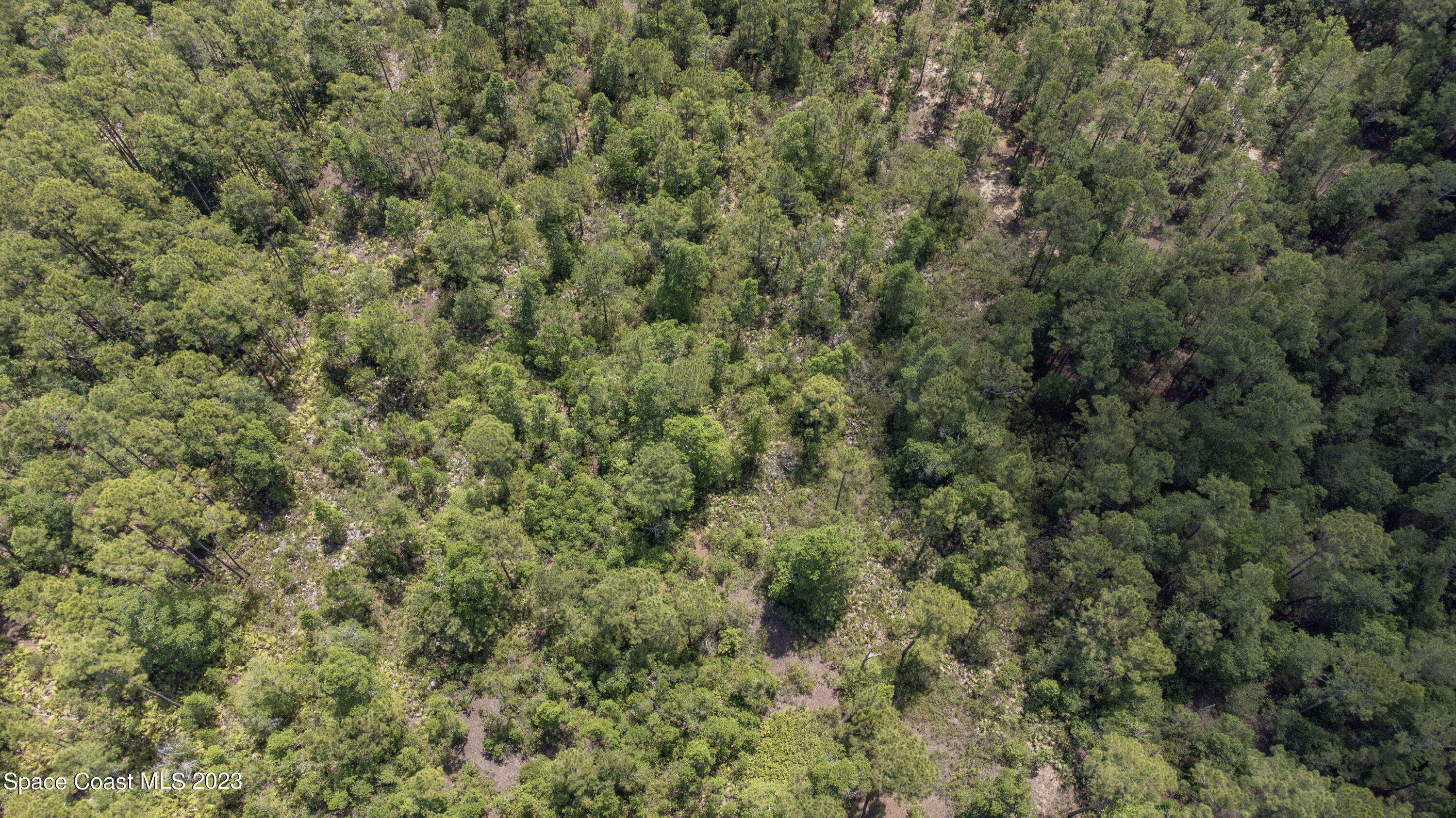 731 Old Bubbly Road Pierson, FL 32180 - Photo 21 of 22 DJI_0560