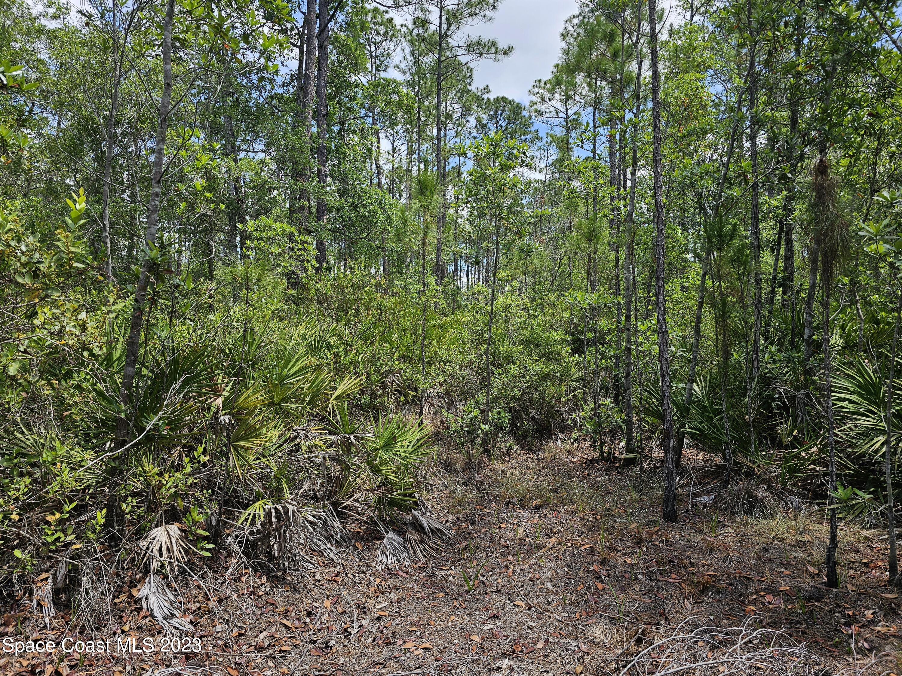 731 Old Bubbly Road Pierson, FL 32180 - Photo 4 of 22 20230516_123302