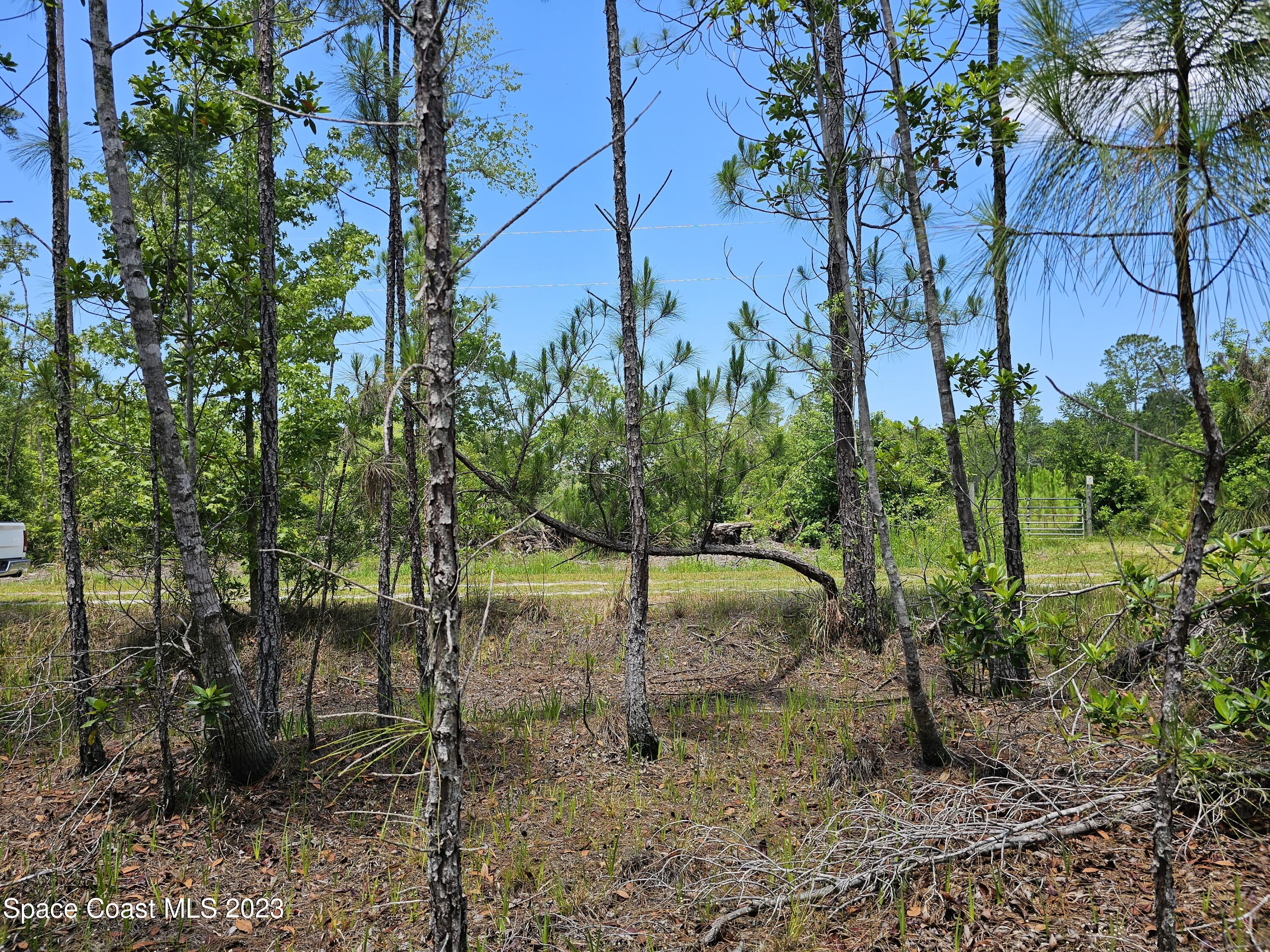 731 Old Bubbly Road Pierson, FL 32180 - Photo 6 of 22 20230516_123307