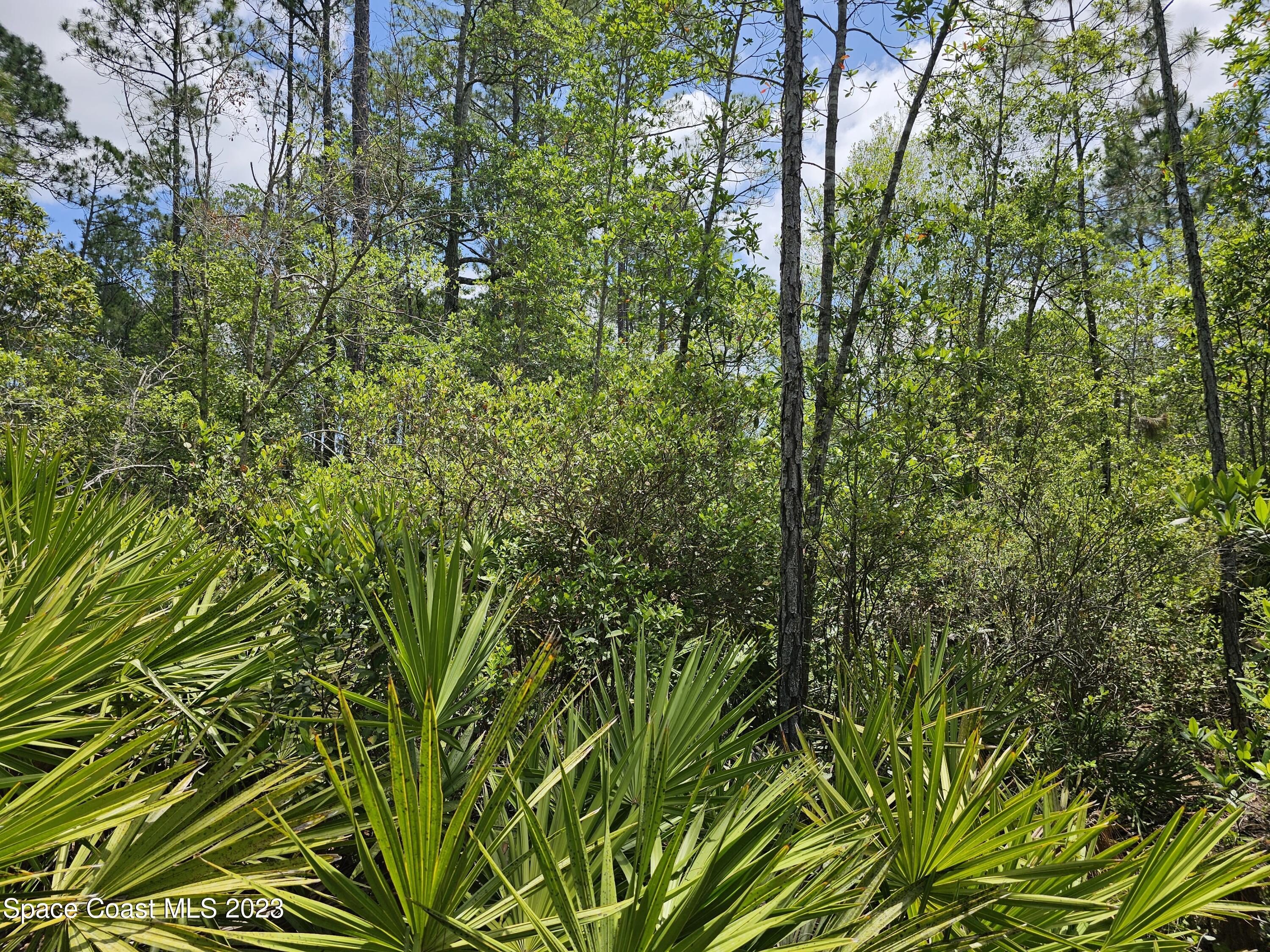 731 Old Bubbly Road Pierson, FL 32180 - Photo 8 of 22 20230516_123343