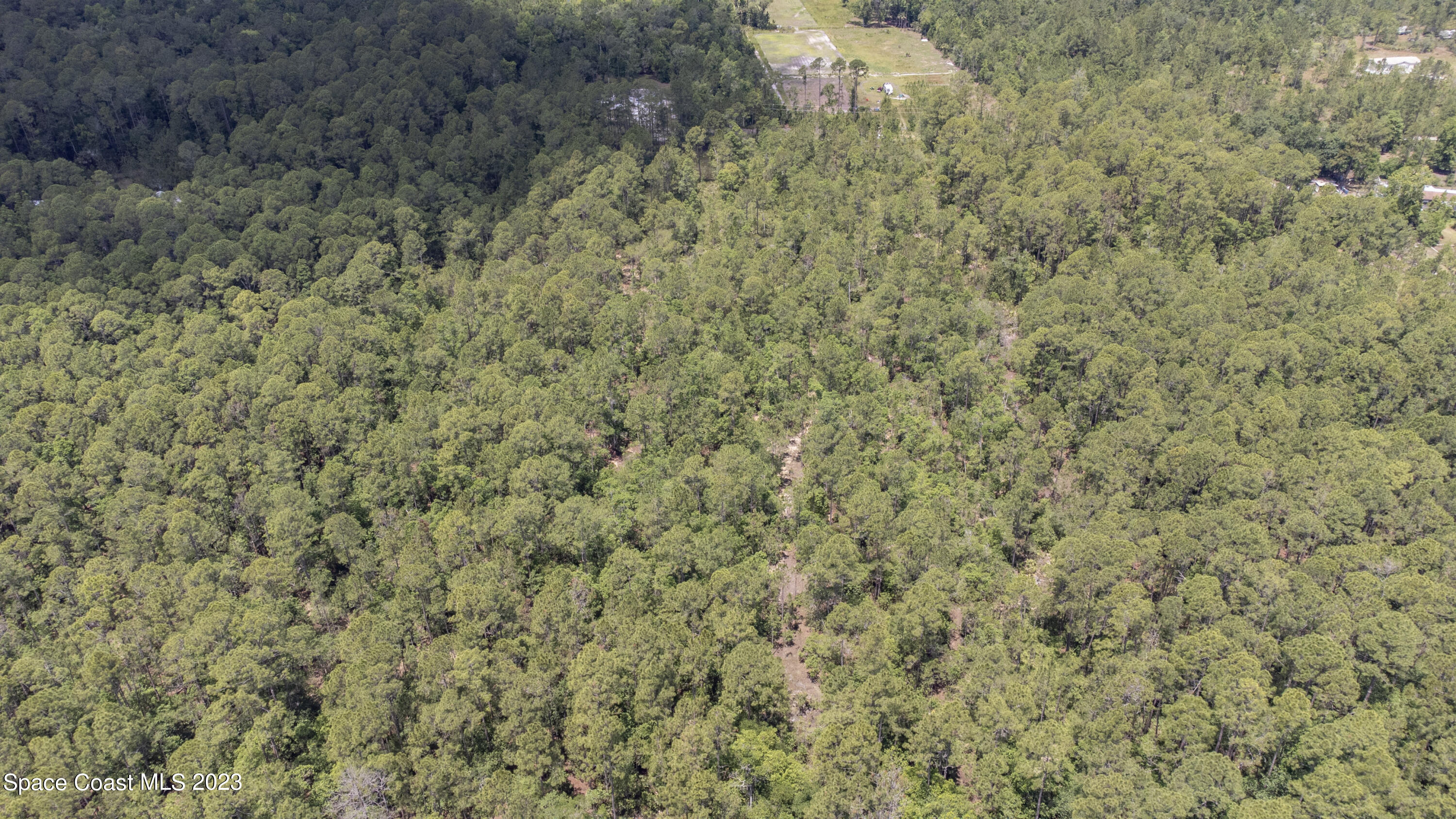 731 Old Bubbly Road Pierson, FL 32180 - Photo 10 of 22 DJI_0564