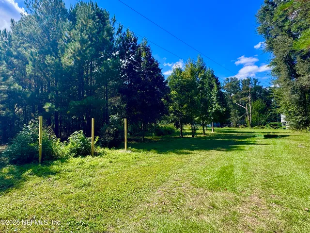 a view of a park with large trees