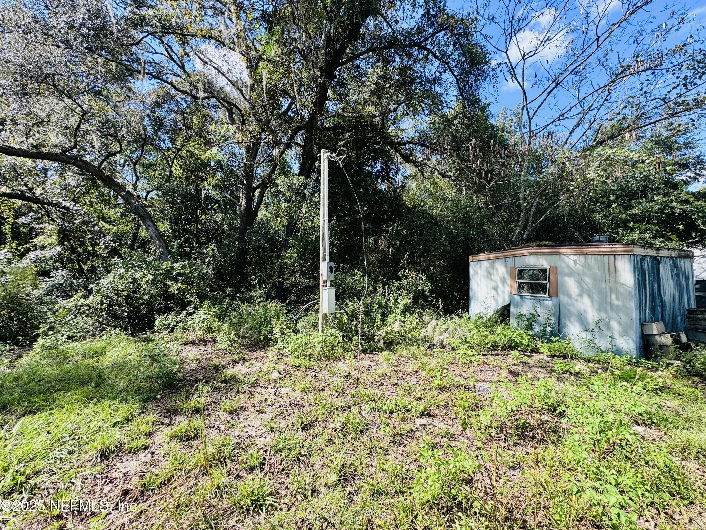 3923 Skipper Road Middleburg, FL 32068 - Photo 4 of 10 a backyard of a house with lots of green space