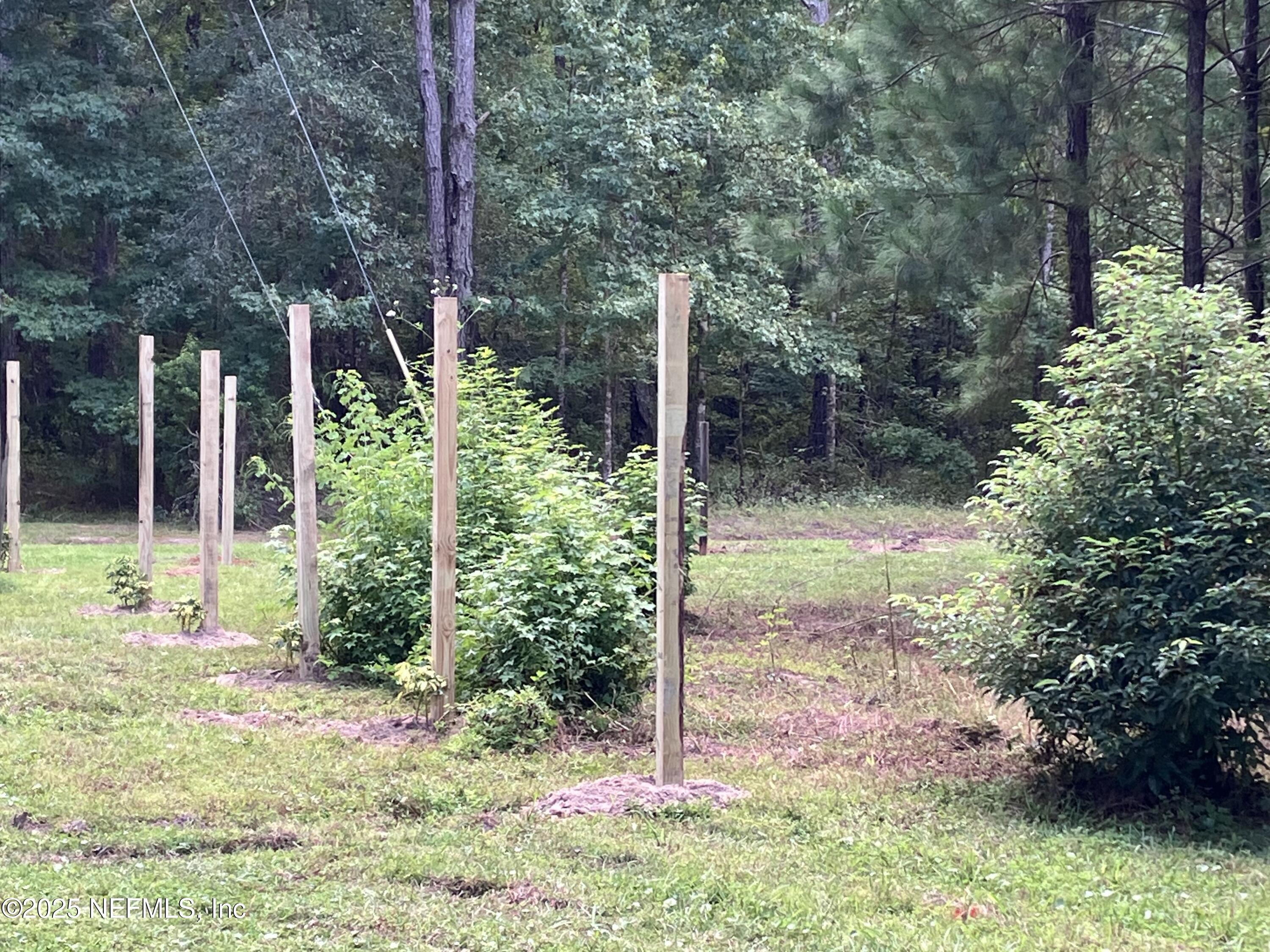 3923 Skipper Road Middleburg, FL 32068 - Photo 6 of 10 a backyard of a house with lots of green space