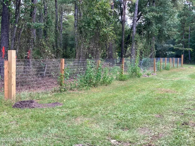 a view of a back yard