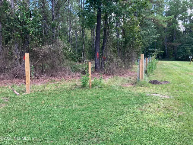 a backyard of a house with lots of green space