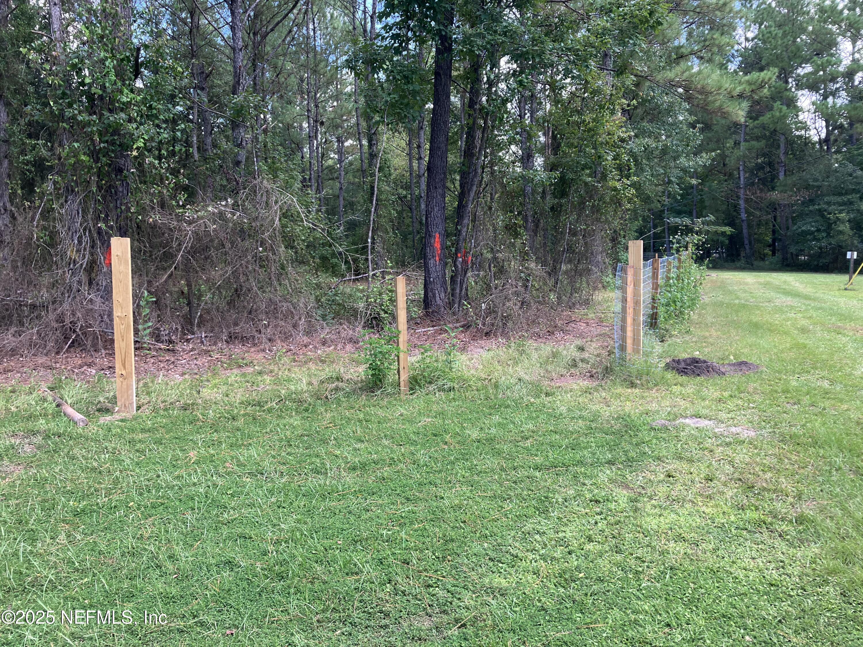 3923 Skipper Road Middleburg, FL 32068 - Photo 9 of 10 a backyard of a house with lots of green space