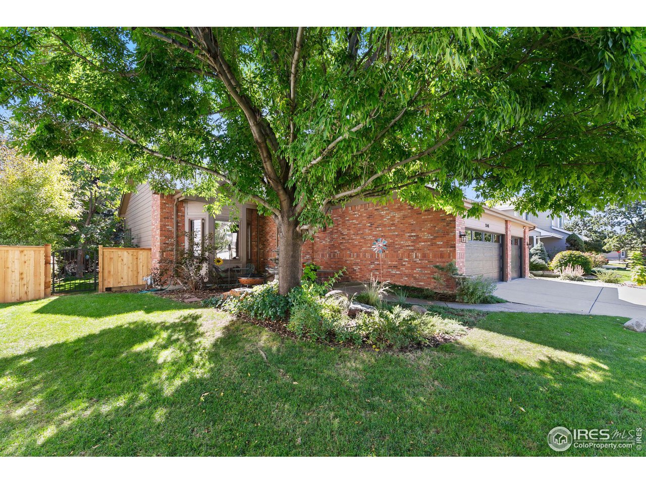 3748 Kentford Road Fort Collins, CO 80525 - Photo 3 of 37 Mature shade trees.
