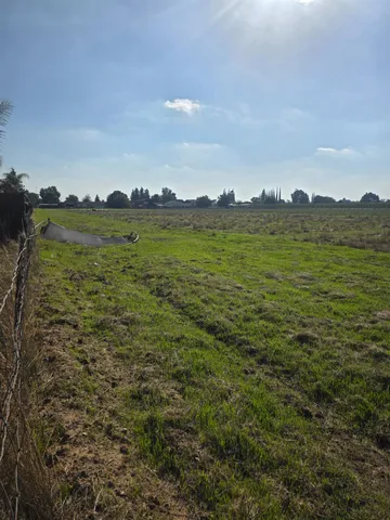 a view of a field with an ocean
