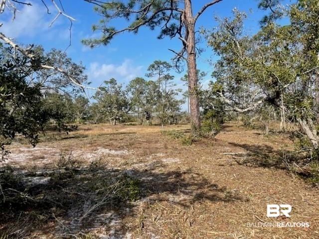 Tbd River Road Pensacola, FL 32507 - Photo 10 of 10