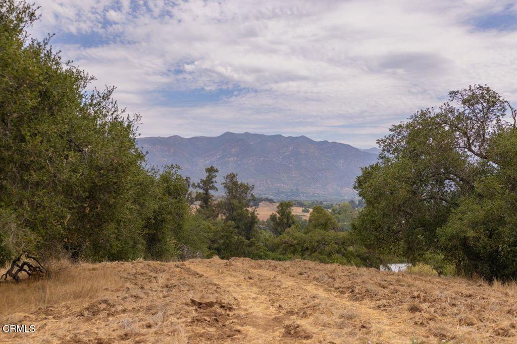 1410 Baldwin Road Ojai, CA 93023 - Photo 16 of 23 Gallery Image 16
