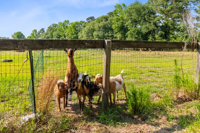 $1,325,000 | 481 Cantey Lane, Rembert, SC 29128