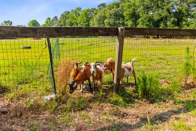 $1,325,000 | 481 Cantey Lane, Rembert, SC 29128