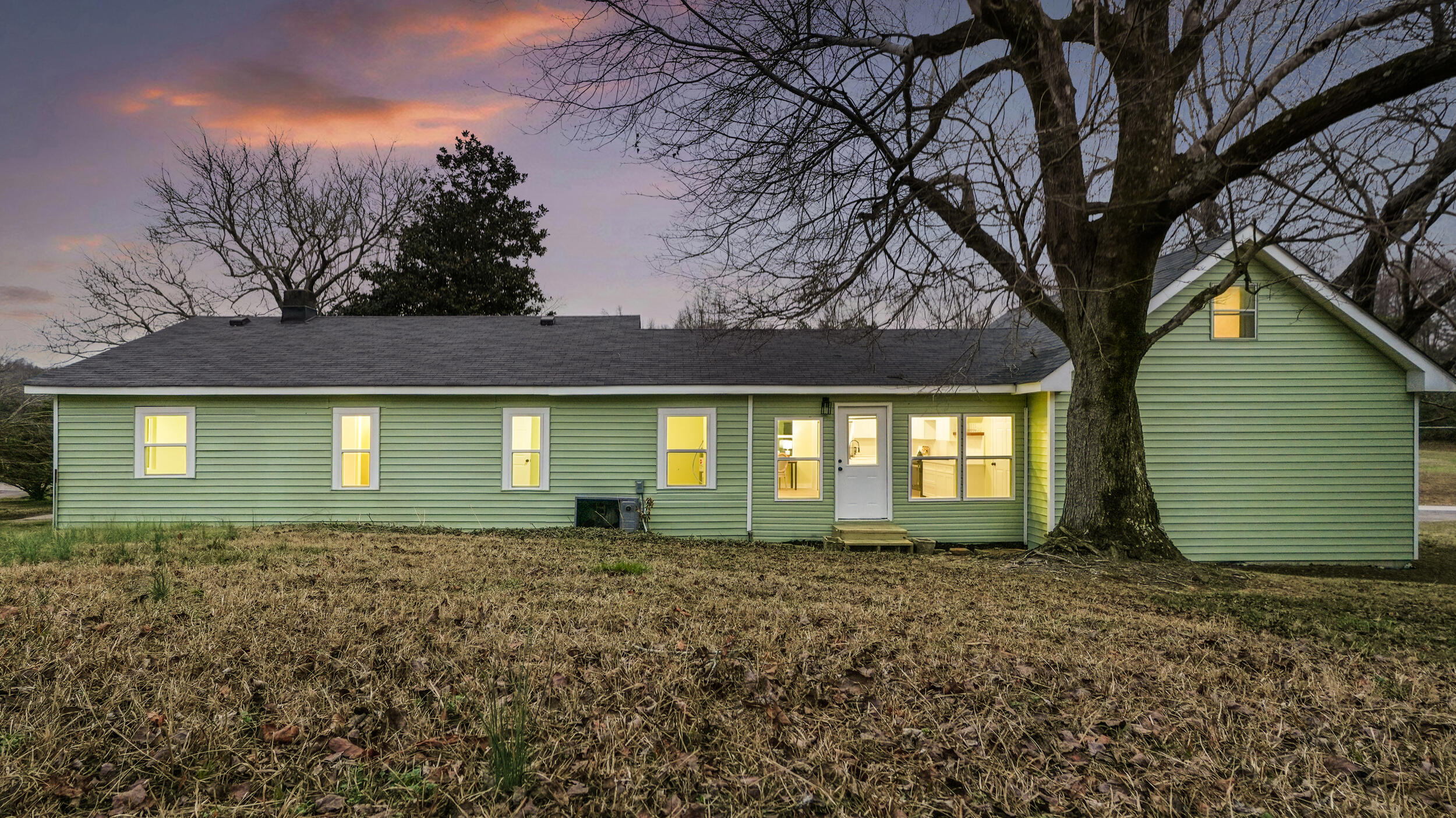 11119 London Lane Apison, TN 37302 - Photo 22 of 22 29_11119 london ln twilight-3