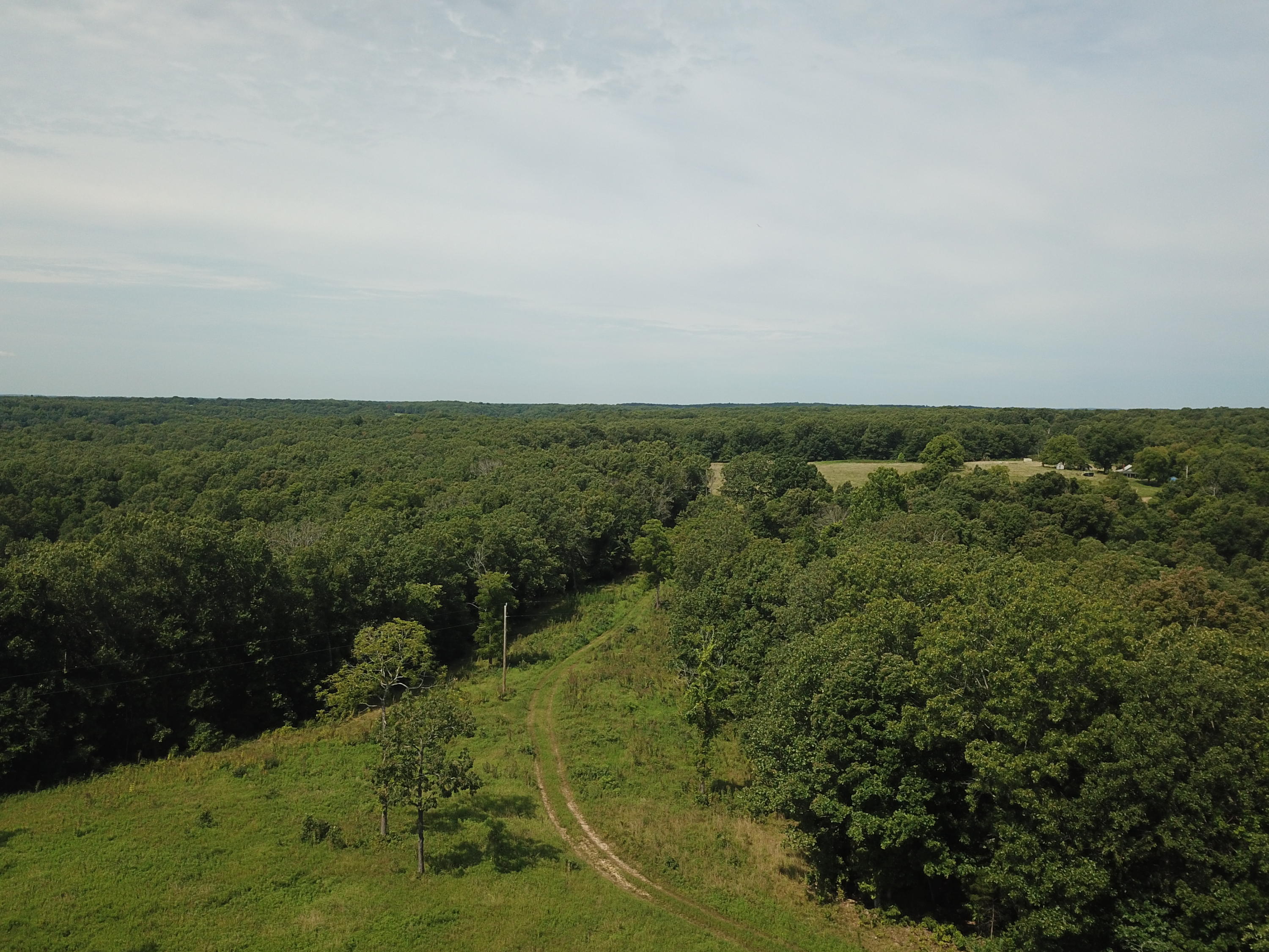 Tbd Basin Road Crocker, MO 65452 - Photo 1 of 1 DJI_0001