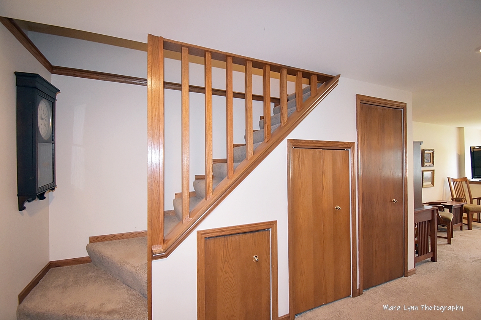 292 Cane Garden Circle Aurora, IL 60504 - Photo 15 of 44 a view of entryway