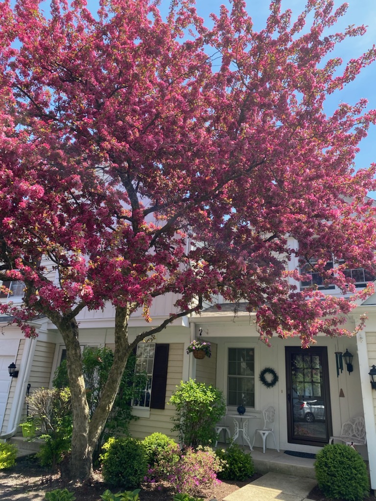 292 Cane Garden Circle Aurora, IL 60504 - Photo 3 of 44 a front view of a house with garden