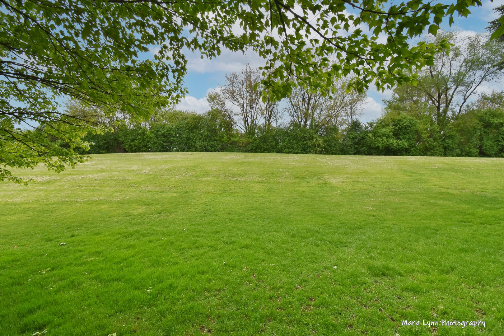 292 Cane Garden Circle Aurora, IL 60504 - Photo 43 of 44 a view of an ocean from a yard