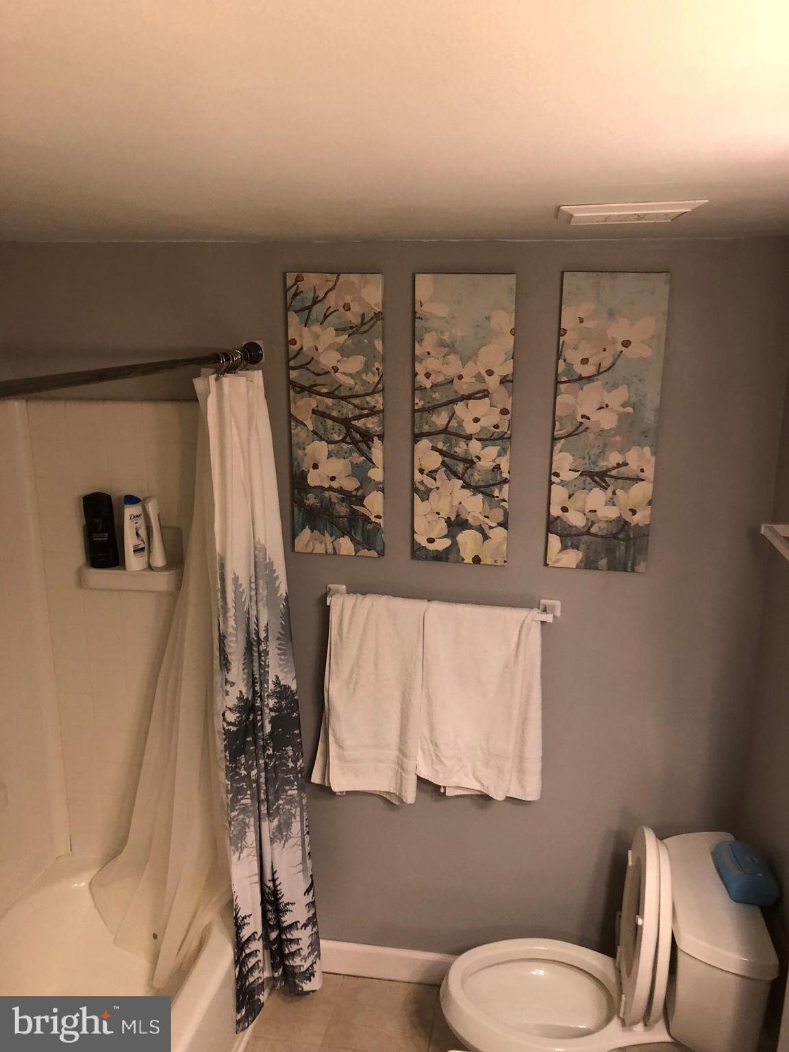 2574 Riva Road, Unit 4A Annapolis, MD 21401 - Photo 5 of 7 Bathroom