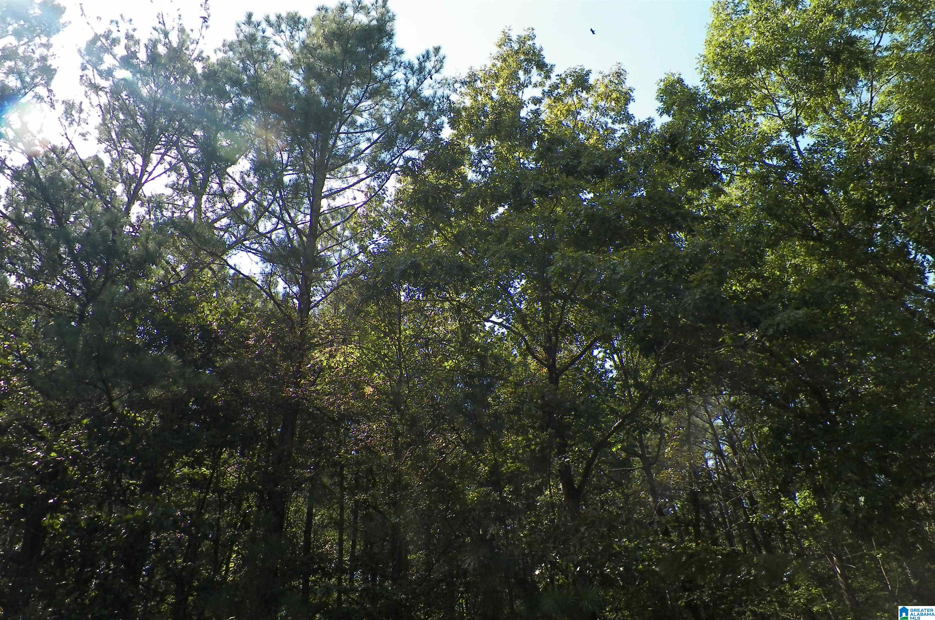 9138 Thermal Road, Unit 8 Warrior, AL 35180 - Photo 12 of 26