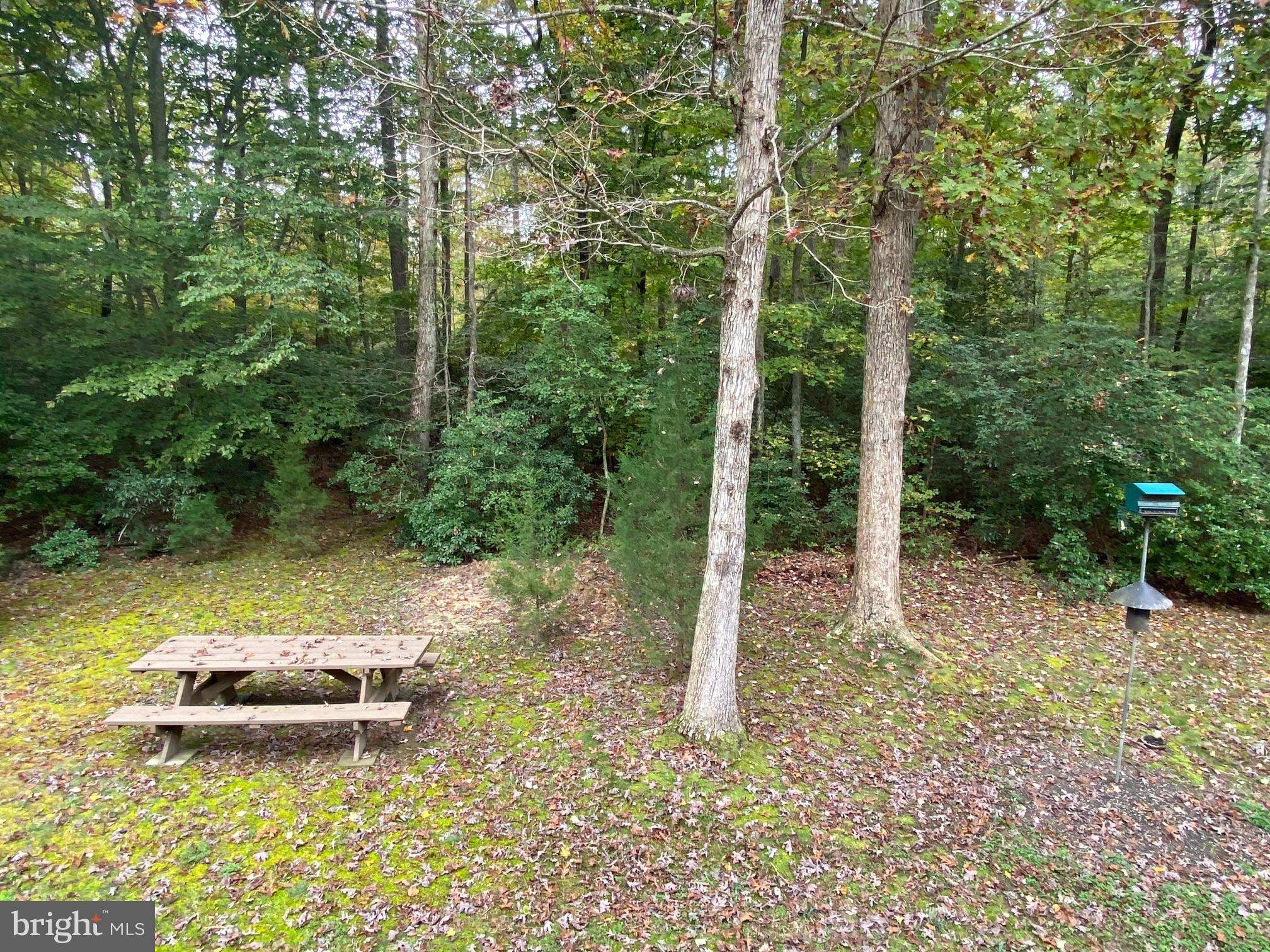 17622 Point Lookout Road Lexington Park, MD 20653 - Photo 51 of 82 Gallery Image 51