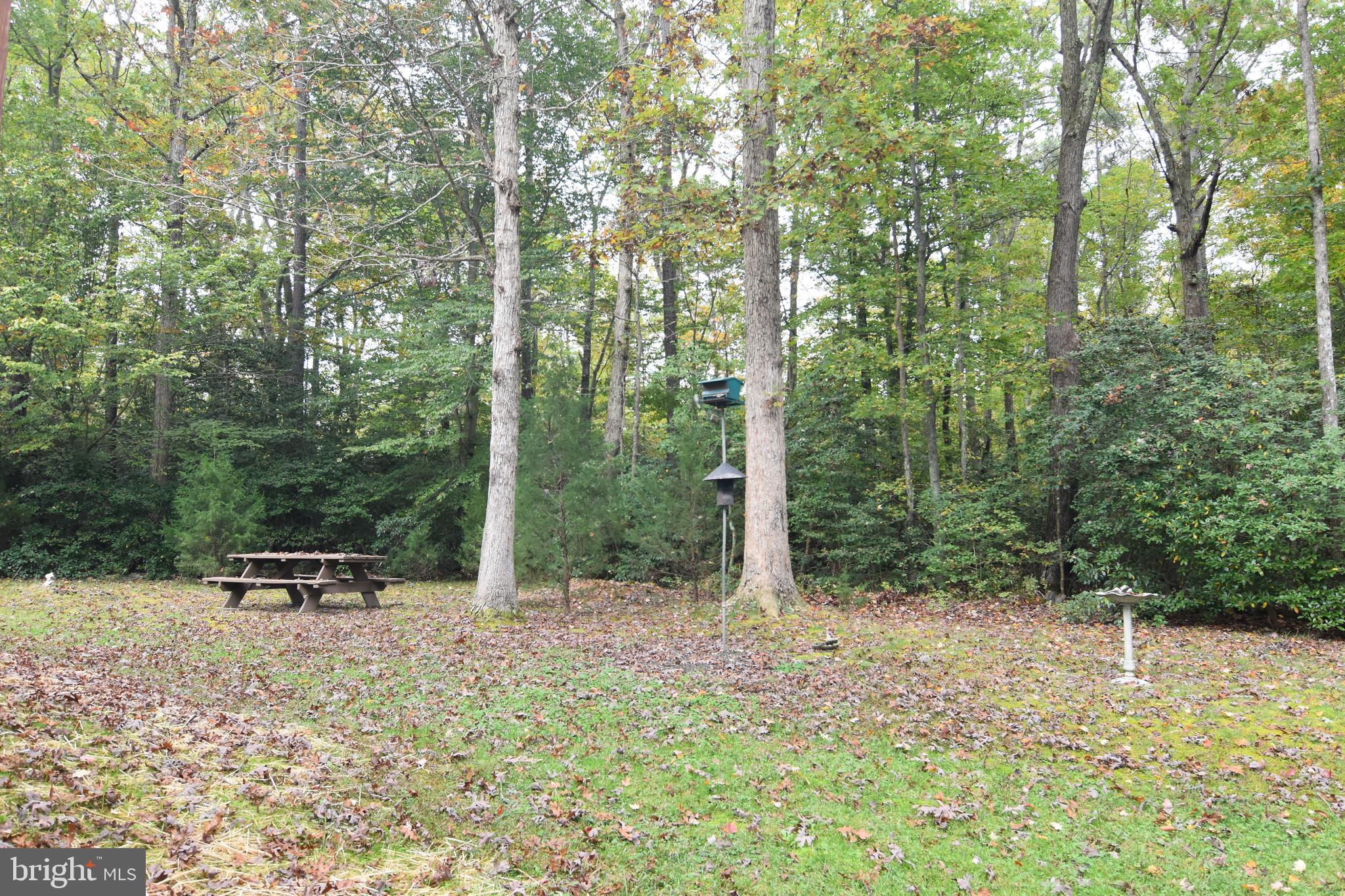 17622 Point Lookout Road Lexington Park, MD 20653 - Photo 79 of 82 back yard