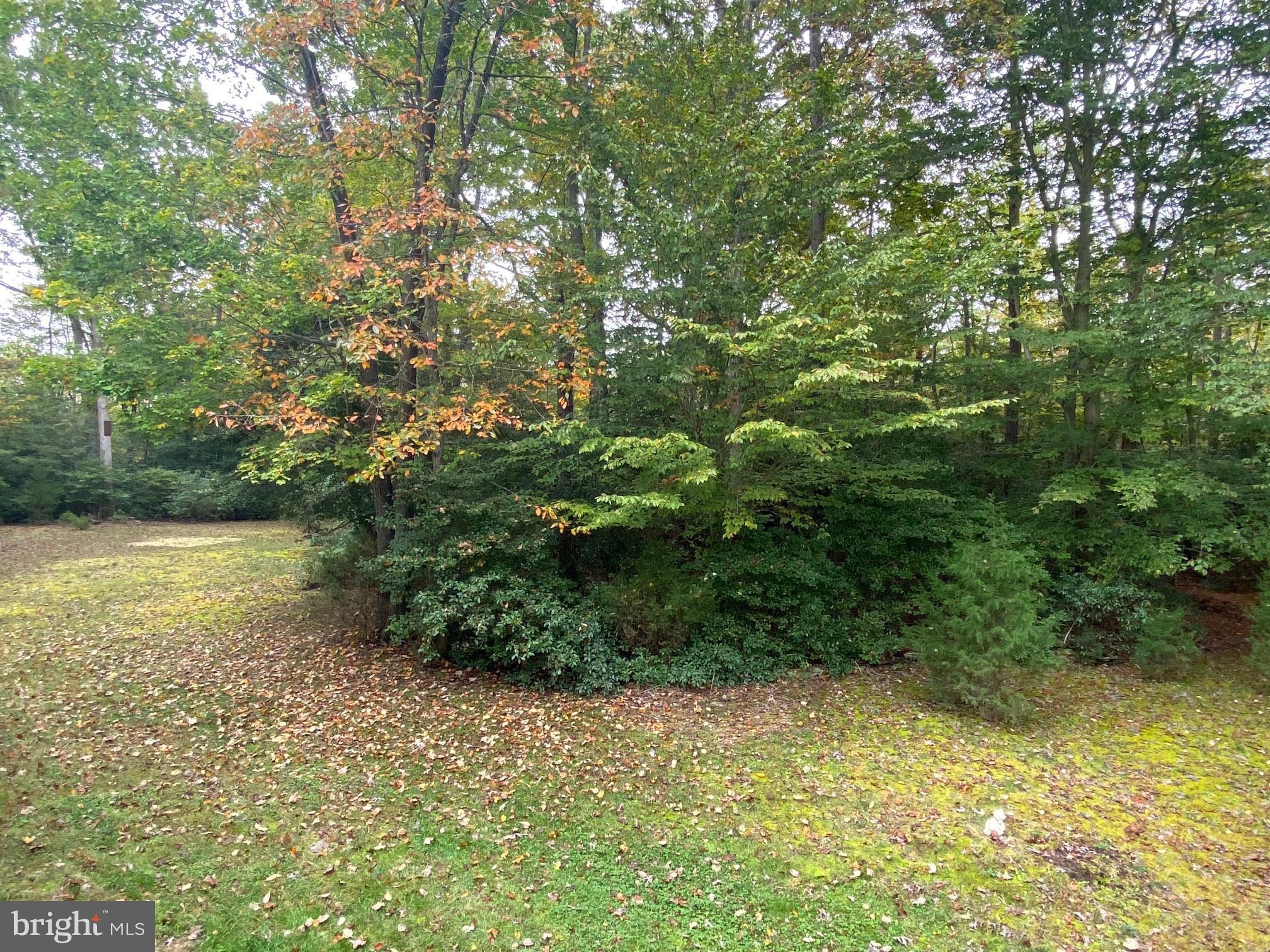 17622 Point Lookout Road Lexington Park, MD 20653 - Photo 81 of 82 Gallery Image 81