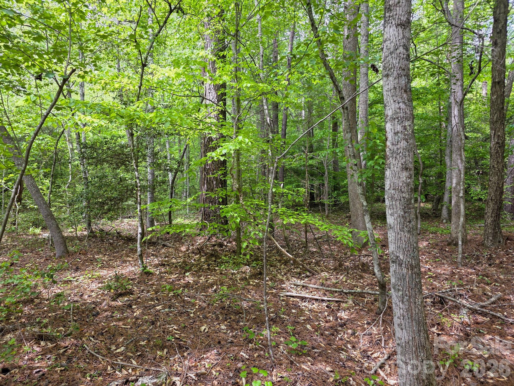 0 Romey Campbell Road Ellenboro, NC 28040 - Photo 19 of 41