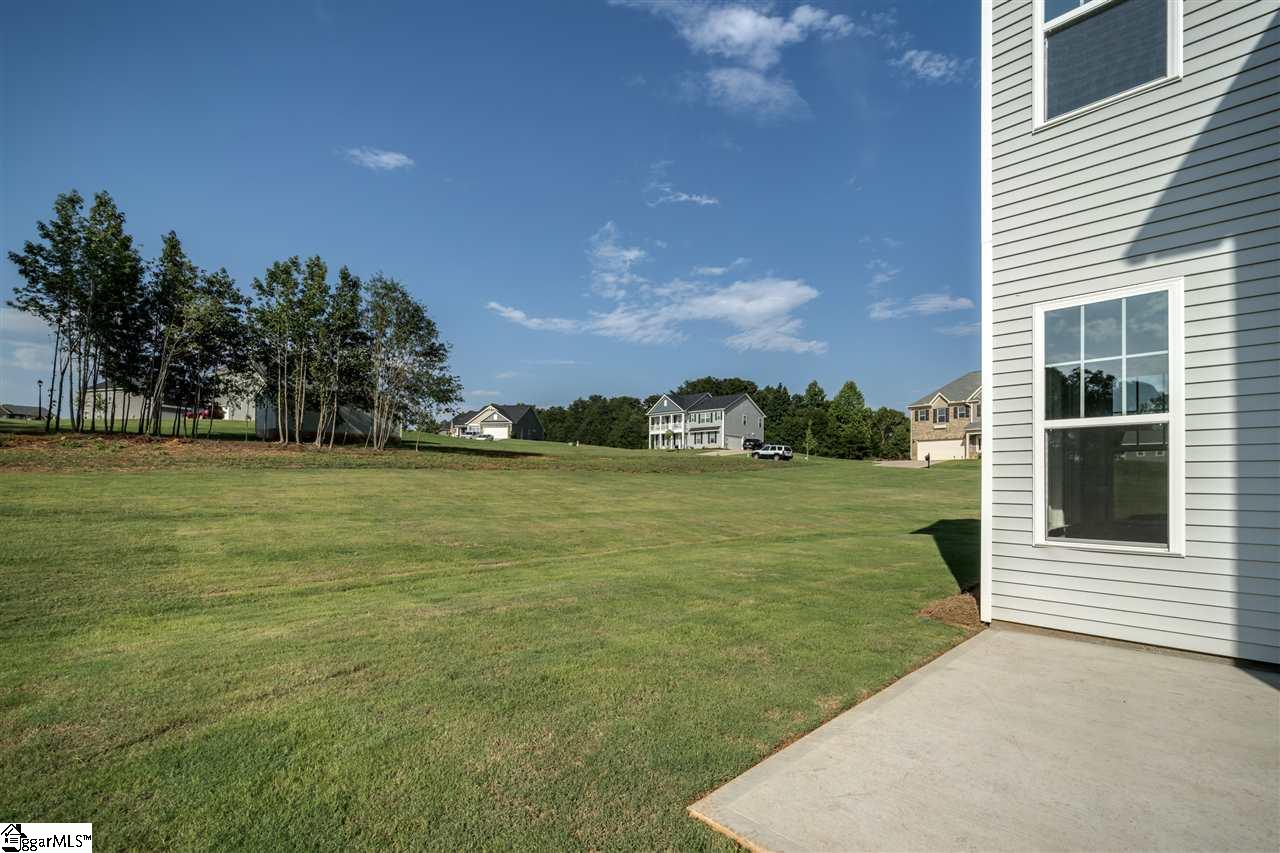 245 Rushing Waters Drive Inman, SC 29349 - Photo 4 of 36