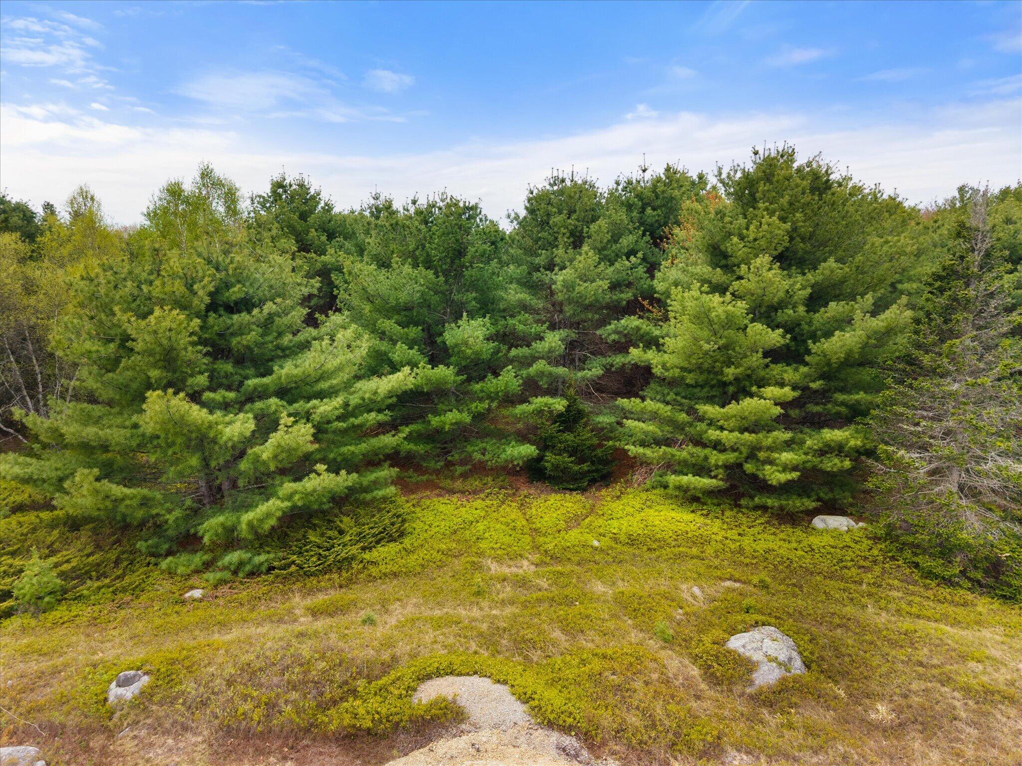 6 Map Road Orland, ME 04472 - Photo 12 of 22 Map 6, Lot 31 C Cedar Swamp Rd.