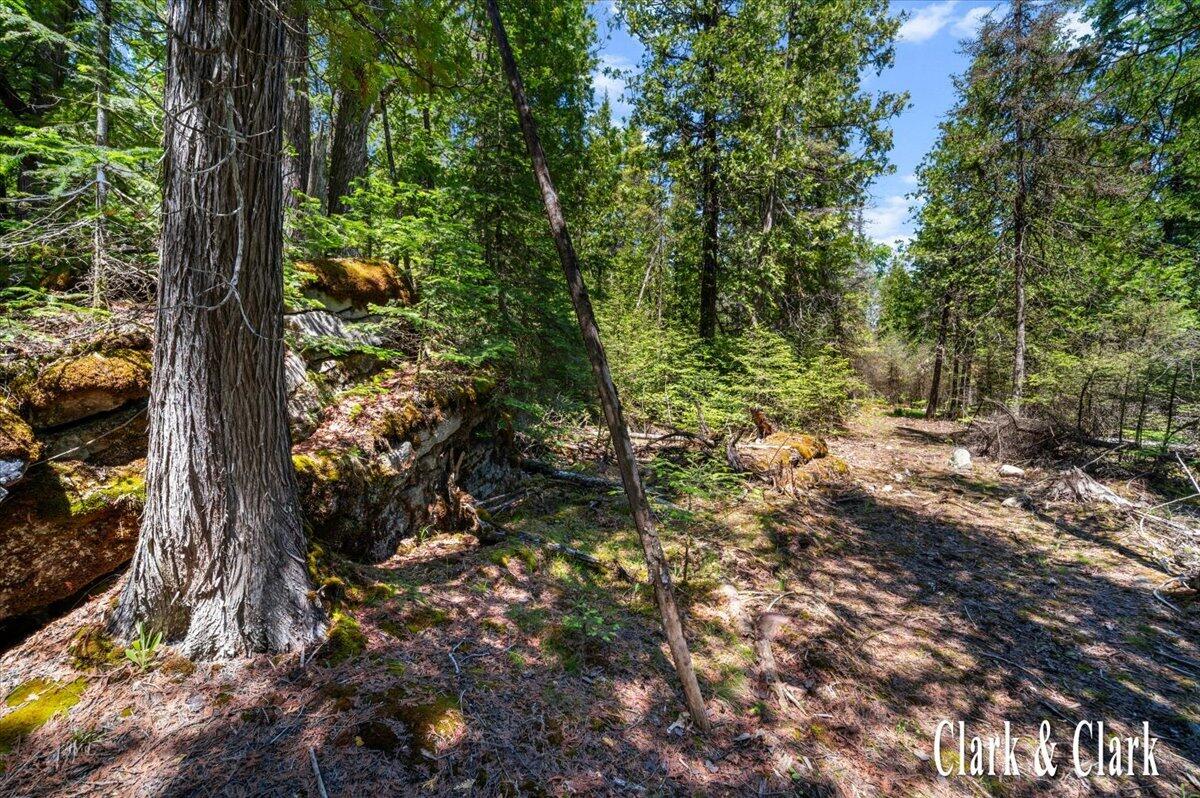 35965 South Humms Road Drummond Island, MI 49726 - Photo 61 of 73 127-WOODS 01A